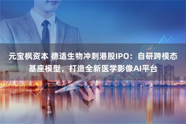 元宝枫资本 德适生物冲刺港股IPO：自研跨模态基座模型，打造全新医学影像AI平台